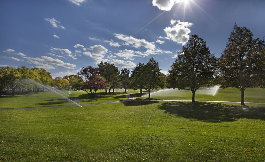 Irrigated community park lawn in evening light